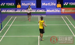 2014年香港羽毛球公开赛 戴资颖(中华台北)VS张雁宜(中国香港) 女单1 8决赛比赛录像